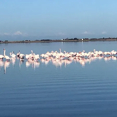 Su Fassoi 3* סנטה ג'וסטה