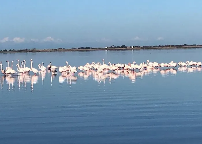 Su Fassoi 3* Санта-Джуста